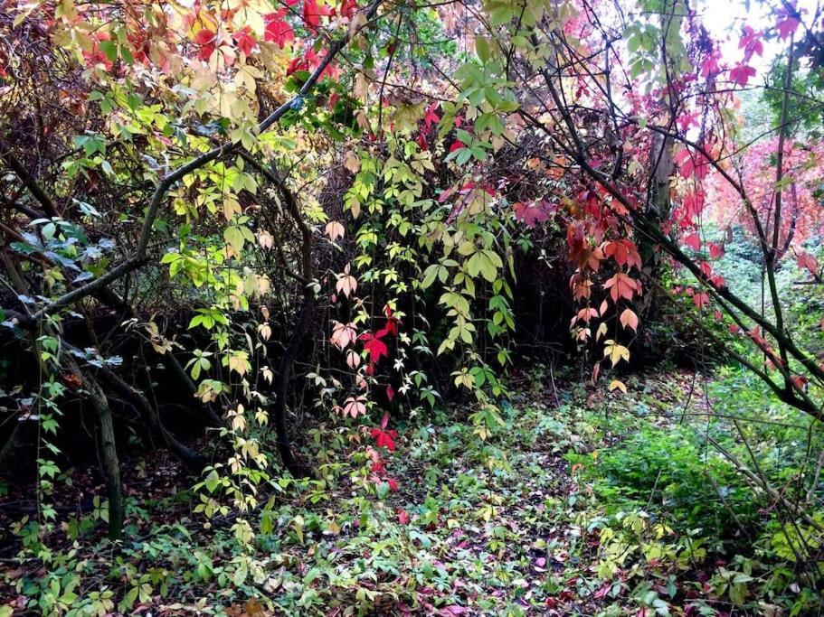 Forestry Cottage. Hot Tub, Open Fire, Dog Friendly Gaywood Экстерьер фото